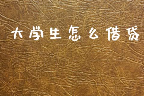 大学生怎么借贷_https://wap.lcpcjs.com_股港行情_第1张