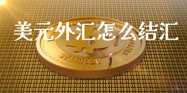 美元外汇怎么结汇_https://wap.lcpcjs.com_外汇市场_第1张