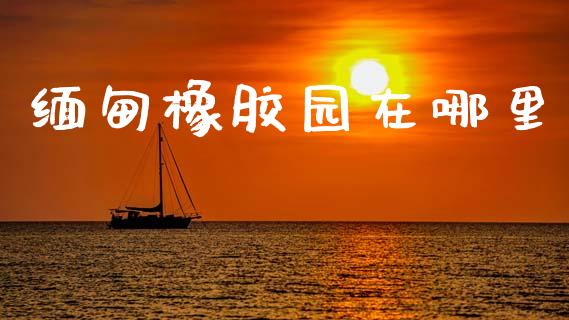 缅甸橡胶园在哪里_https://wap.lcpcjs.com_美股行情_第1张