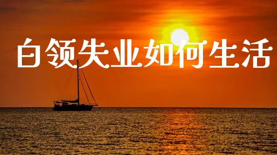 白领失业如何生活_https://wap.lcpcjs.com_外汇市场_第1张