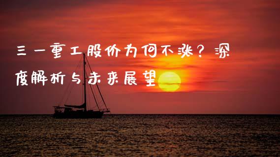 三一重工股价为何不涨？深度解析与未来展望_https://wap.lcpcjs.com_全球经济_第1张