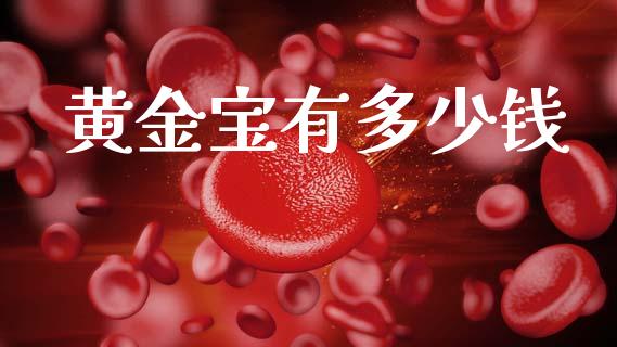 黄金宝有多少钱_https://wap.lcpcjs.com_股港行情_第1张