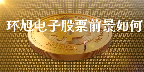 环旭电子股票前景如何_https://wap.lcpcjs.com_股港行情_第1张