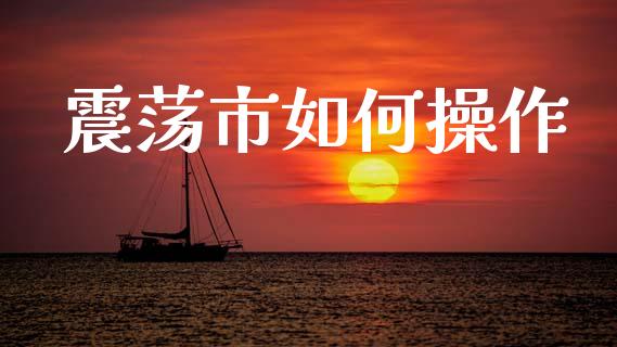 震荡市如何操作_https://wap.lcpcjs.com_外汇市场_第1张