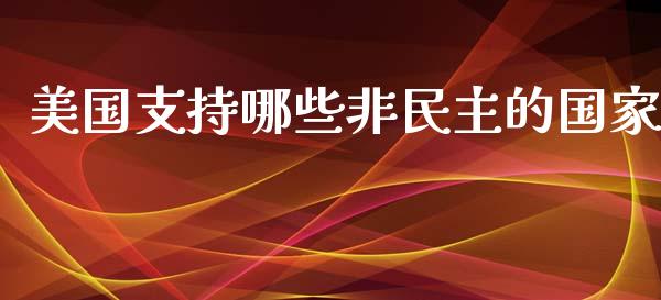 美国支持哪些非民主的国家_https://wap.lcpcjs.com_美股行情_第1张