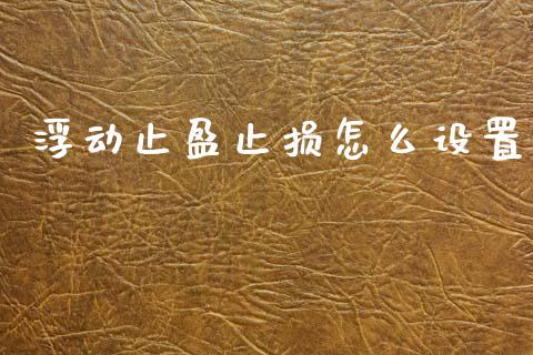 浮动止盈止损怎么设置_https://wap.lcpcjs.com_股港行情_第1张