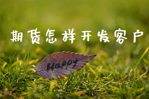 期货怎样开发客户_https://wap.lcpcjs.com_美股行情_第1张