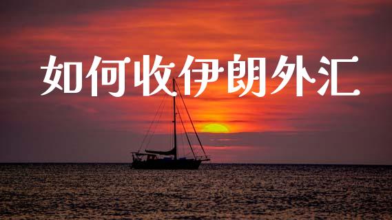 如何收伊朗外汇_https://wap.lcpcjs.com_美股行情_第1张