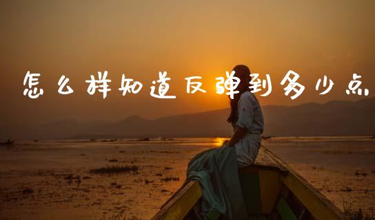 怎么样知道反弹到多少点_https://wap.lcpcjs.com_美股行情_第1张