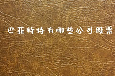 巴菲特持有哪些公司股票_https://wap.lcpcjs.com_外汇市场_第1张