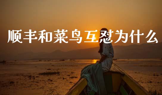 顺丰和菜鸟互怼为什么_https://wap.lcpcjs.com_股港行情_第1张
