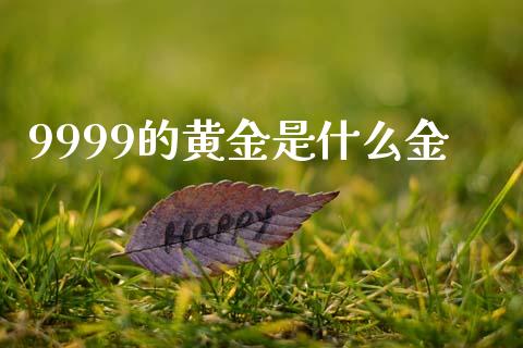 9999的黄金是什么金_https://wap.lcpcjs.com_股港行情_第1张