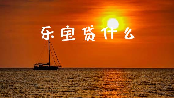 乐宝贷什么_https://wap.lcpcjs.com_外汇市场_第1张
