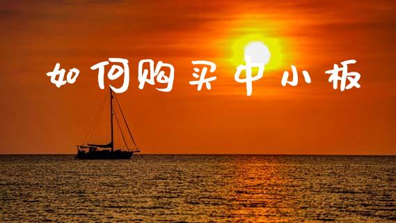如何购买中小板_https://wap.lcpcjs.com_外汇市场_第1张