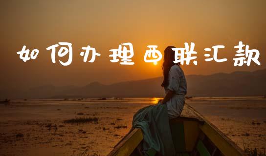 如何办理西联汇款_https://wap.lcpcjs.com_全球经济_第1张