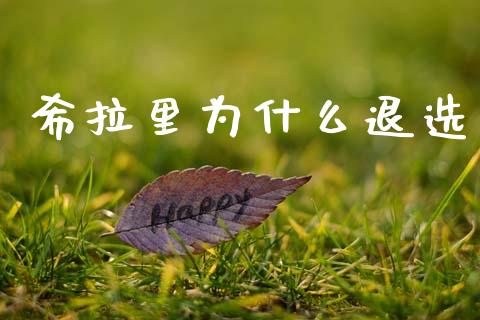 希拉里为什么退选_https://wap.lcpcjs.com_全球经济_第1张