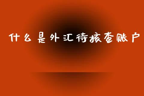 什么是外汇待核查账户_https://wap.lcpcjs.com_全球经济_第1张