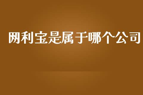 网利宝是属于哪个公司_https://wap.lcpcjs.com_全球经济_第1张