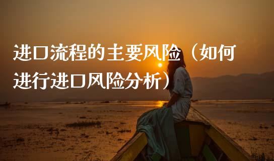 进口流程的主要风险（如何进行进口风险分析）_https://wap.lcpcjs.com_外汇市场_第1张