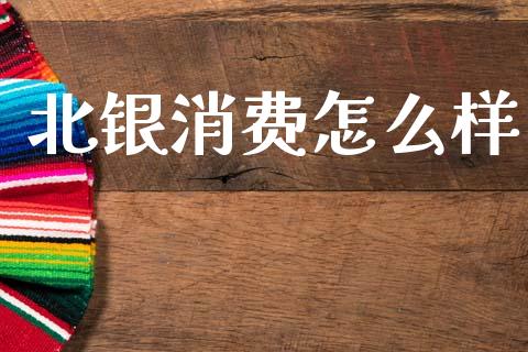 北银消费怎么样_https://wap.lcpcjs.com_美股行情_第1张