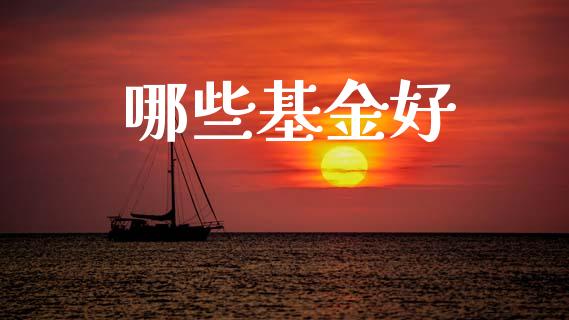 哪些基金好_https://wap.lcpcjs.com_全球经济_第1张