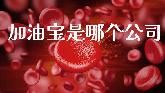 加油宝是哪个公司_https://wap.lcpcjs.com_美股行情_第1张