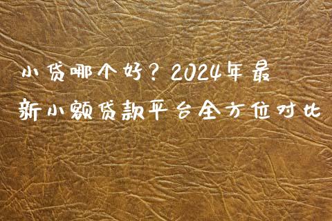 小贷哪个好？2024年最新小额贷款平台全方位对比_https://wap.lcpcjs.com_外汇市场_第1张