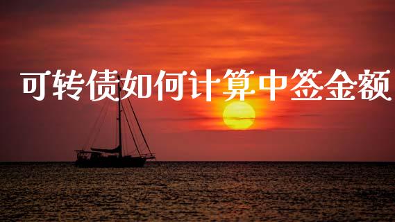 可转债如何计算中签金额_https://wap.lcpcjs.com_美股行情_第1张