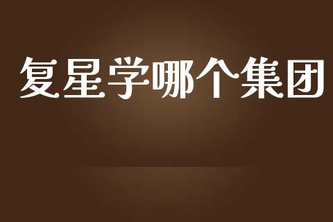 复星学哪个集团_https://wap.lcpcjs.com_美股行情_第1张