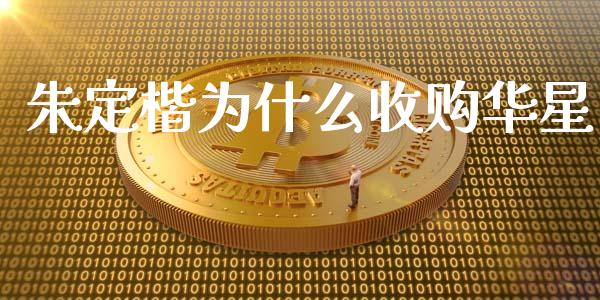 朱定楷为什么收购华星_https://wap.lcpcjs.com_股港行情_第1张