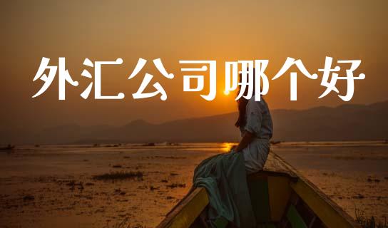 外汇公司哪个好_https://wap.lcpcjs.com_外汇市场_第1张
