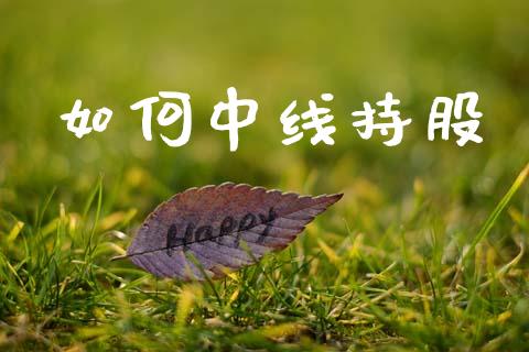 如何中线持股_https://wap.lcpcjs.com_外汇市场_第1张