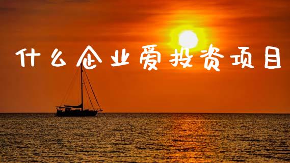 什么企业爱投资项目_https://wap.lcpcjs.com_股港行情_第1张