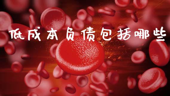 低成本负债包括哪些_https://wap.lcpcjs.com_全球经济_第1张