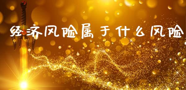 经济风险属于什么风险_https://wap.lcpcjs.com_外汇市场_第1张