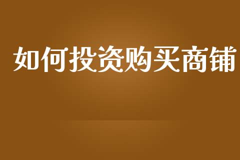 如何投资购买商铺_https://wap.lcpcjs.com_美股行情_第1张