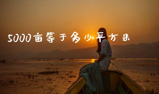 5000亩等于多少平方米_https://wap.lcpcjs.com_股港行情_第1张