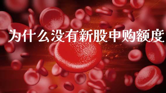 为什么没有新股申购额度_https://wap.lcpcjs.com_股港行情_第1张
