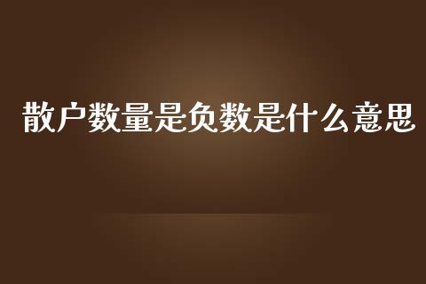 散户数量是负数是什么意思_https://wap.lcpcjs.com_股港行情_第1张
