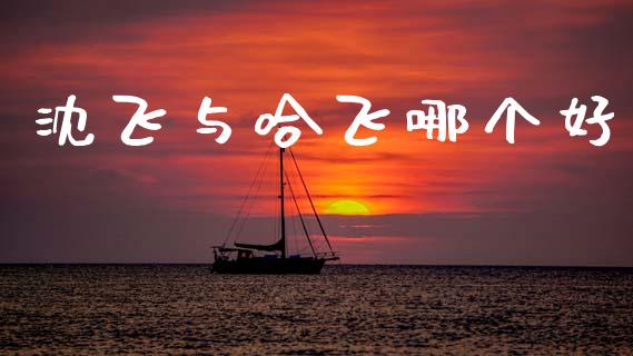 沈飞与哈飞哪个好_https://wap.lcpcjs.com_外汇市场_第1张