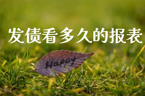 发债看多久的报表_https://wap.lcpcjs.com_美股行情_第1张