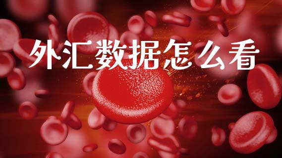 外汇数据怎么看_https://wap.lcpcjs.com_外汇市场_第1张
