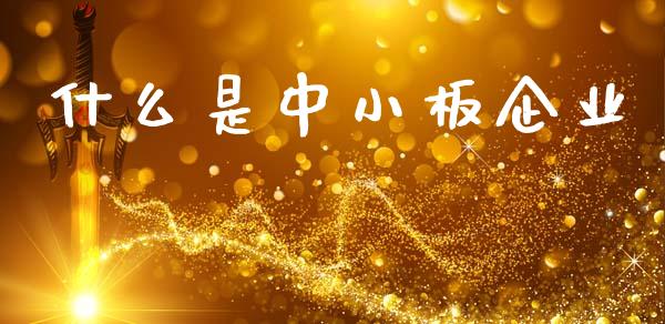 什么是中小板企业_https://wap.lcpcjs.com_全球经济_第1张