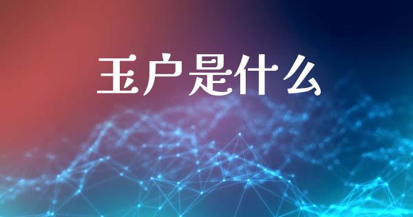 玉户是什么_https://wap.lcpcjs.com_全球经济_第1张