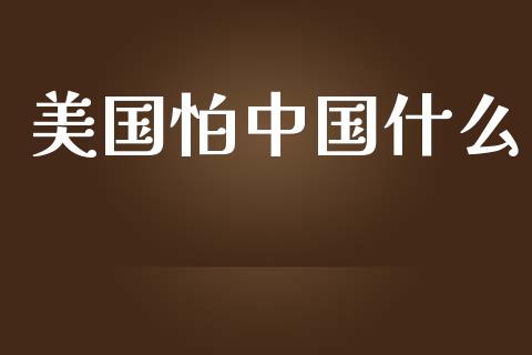 美国怕中国什么_https://wap.lcpcjs.com_外汇市场_第1张