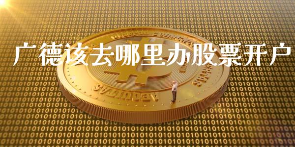 广德该去哪里办股票开户_https://wap.lcpcjs.com_美股行情_第1张