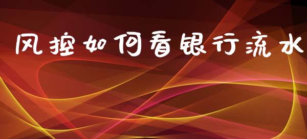 风控如何看银行流水_https://wap.lcpcjs.com_外汇市场_第1张