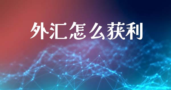 外汇怎么获利_https://wap.lcpcjs.com_股港行情_第1张