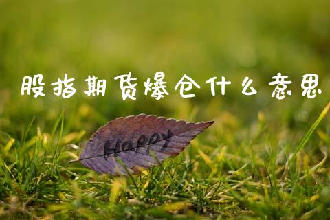 股指期货爆仓什么意思_https://wap.lcpcjs.com_全球经济_第1张