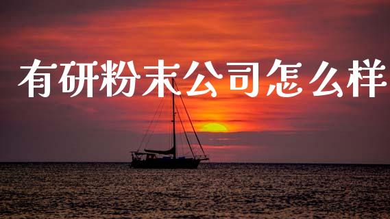有研粉末公司怎么样_https://wap.lcpcjs.com_外汇市场_第1张